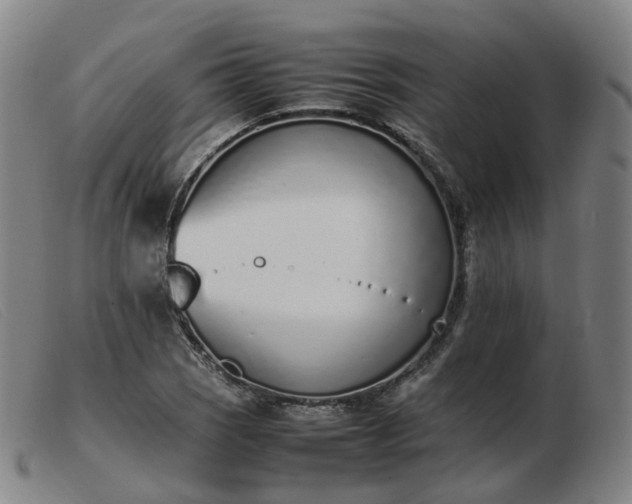 X0000103451121200809191741