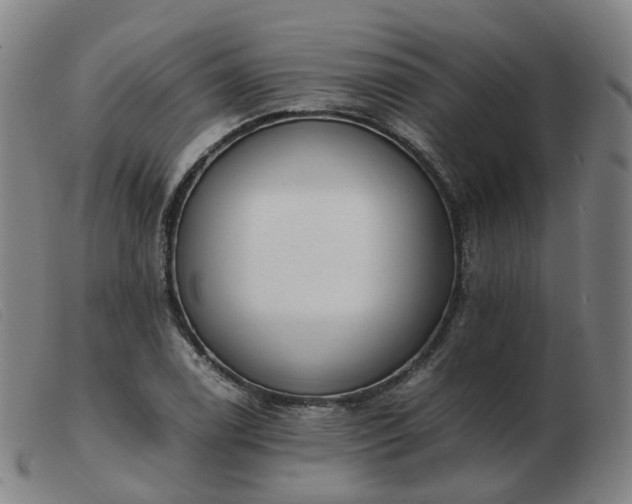 X0000103451122200809191741