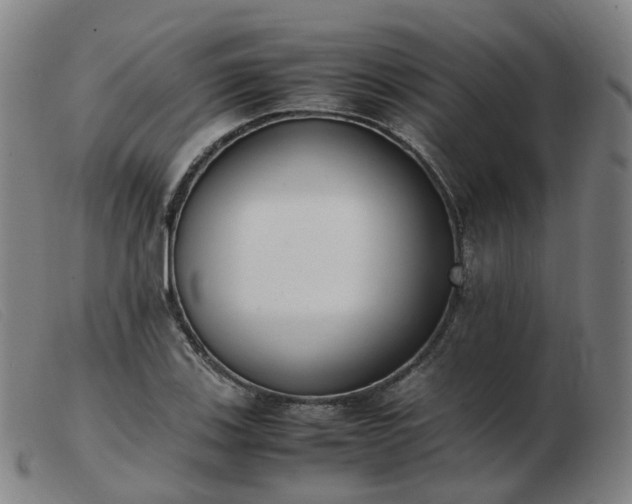 X0000103451123200809191741