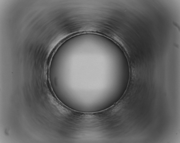 X0000103451124200809191741