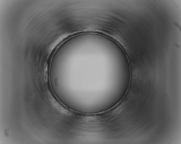 X0000103451126200809191741