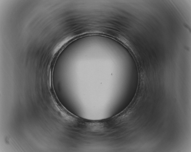 X0000103451127200809191741