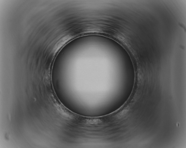 X0000103451129200809191741