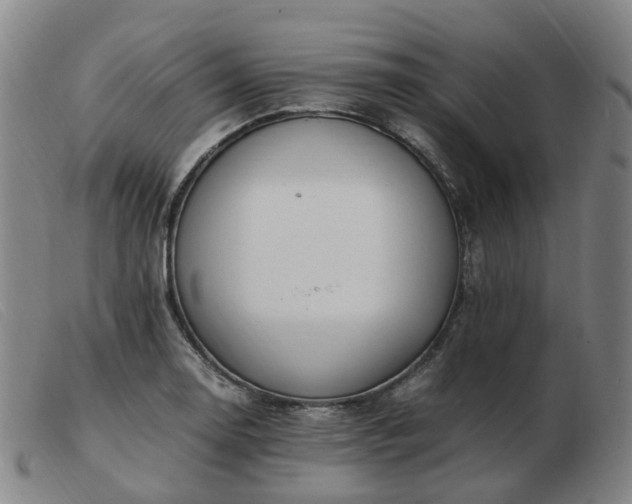 X0000103451130200809191741