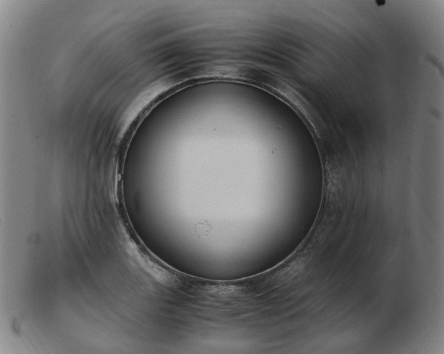 X0000103451131200809191741
