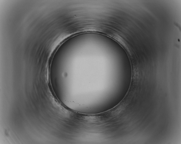 X0000103451132200809191741