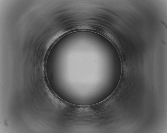 X0000103451133200809191741