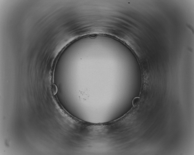 X0000103451134200809191741