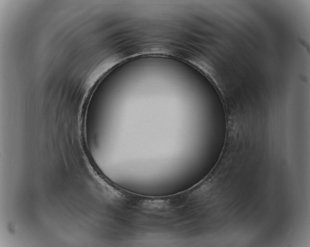 X0000103451135200809191741