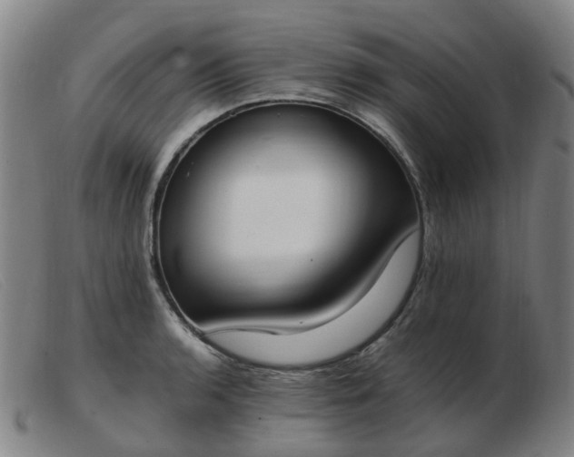 X0000103451136200809191741
