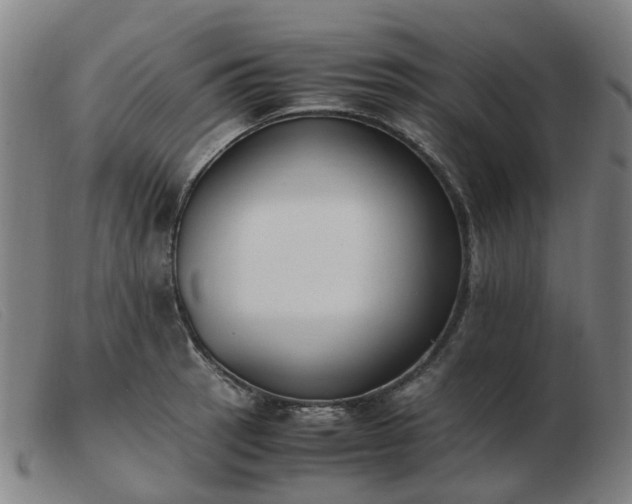 X0000103451137200809191742