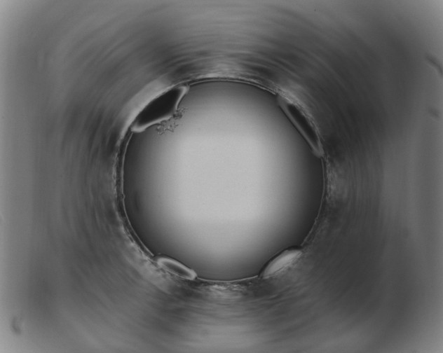 X0000103451138200809191742