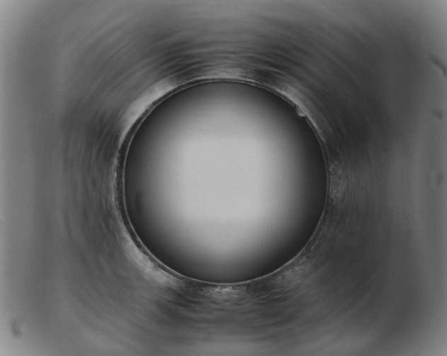 X0000103451139200809191742