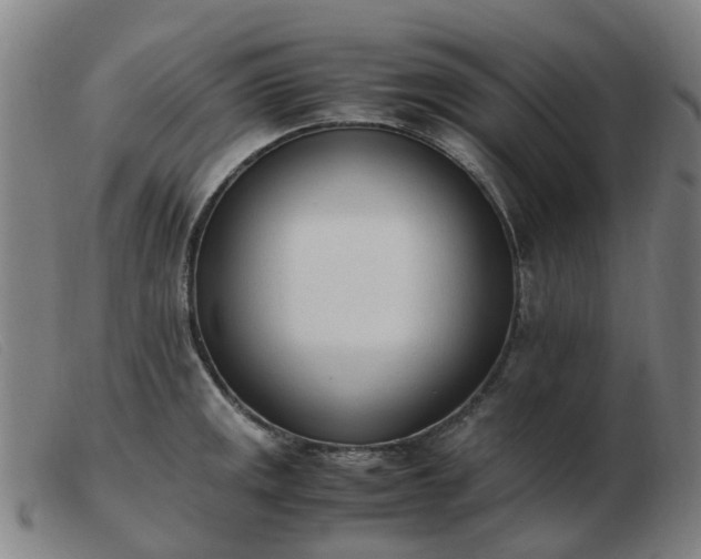 X0000103451141200809191742