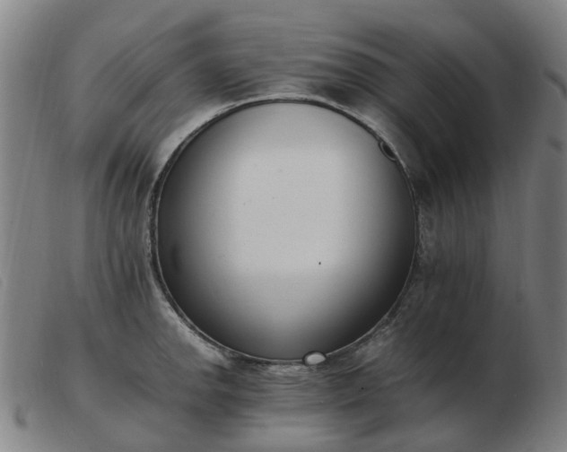 X0000103451142200809191742