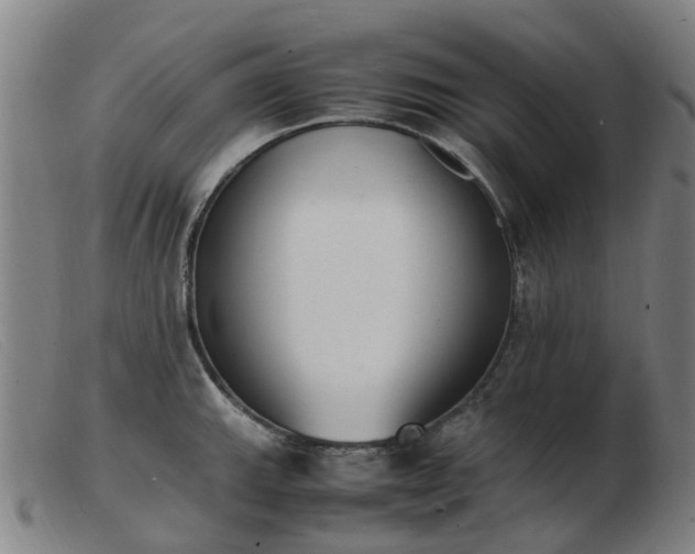 X0000103451143200809191742