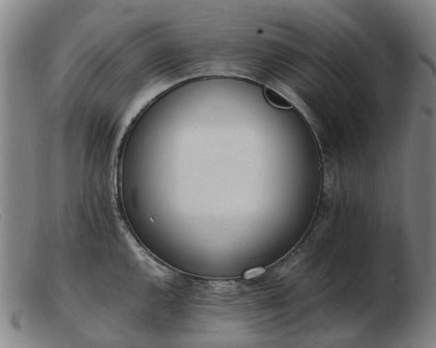 X0000103451144200809191742