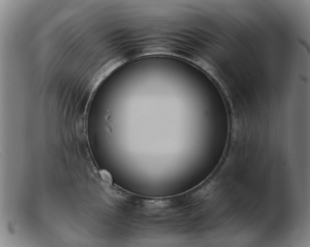 X0000103451145200809191742