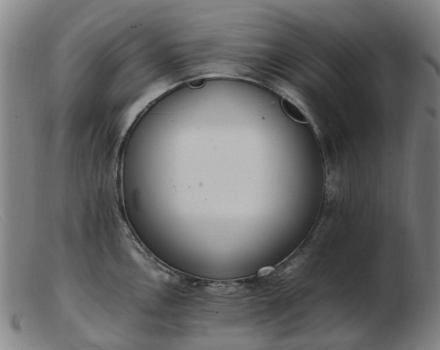 X0000103451146200809191742