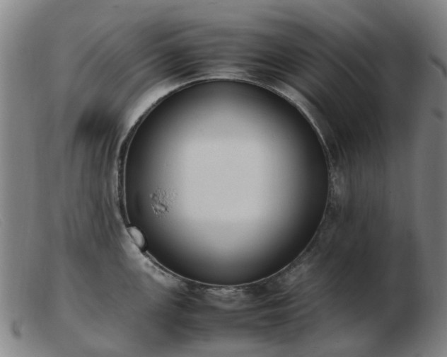 X0000103451147200809191742