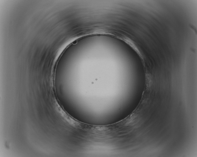 X0000103451148200809191742