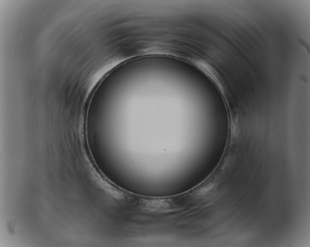 X0000103451149200809191742