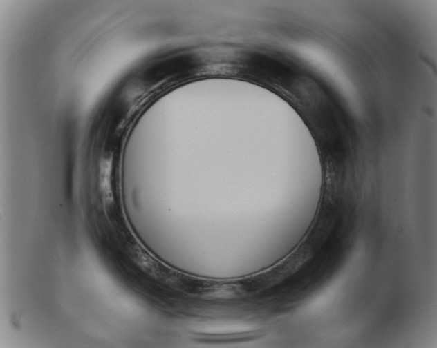 X0000103451150200809191742