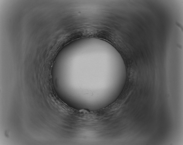 X0000103451153200809191741