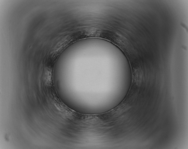 X0000103451154200809191741