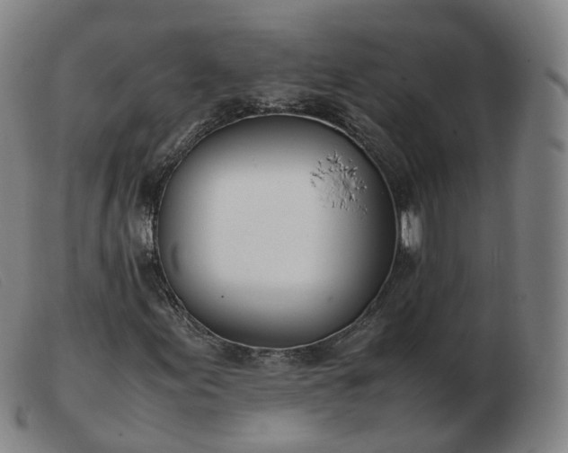 X0000103451155200809191741