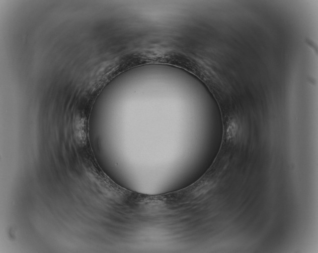 X0000103451156200809191741