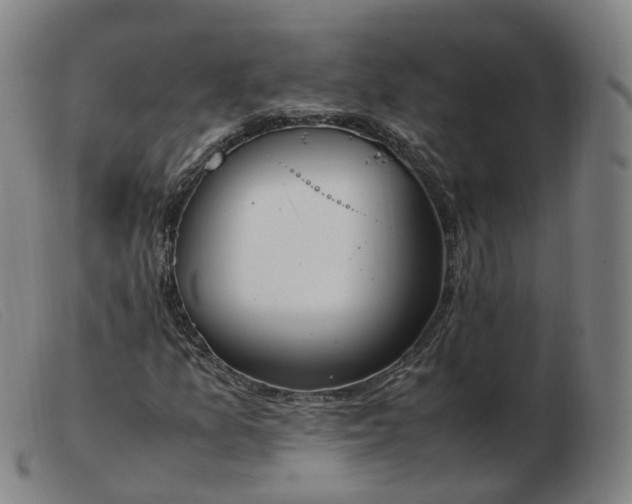 X0000103451157200809191741