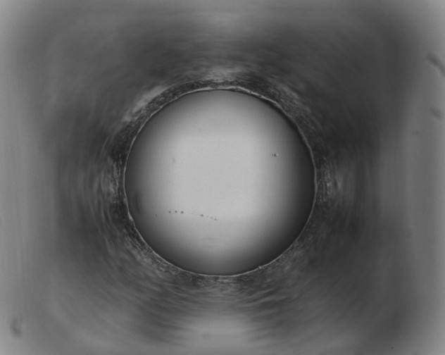 X0000103451158200809191741