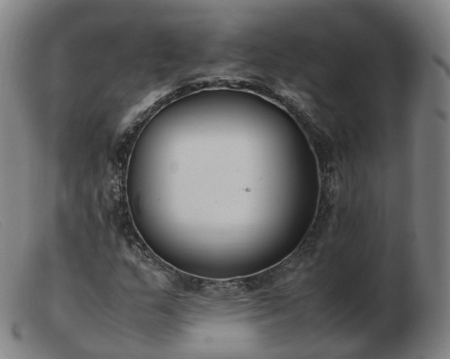 X0000103451159200809191741