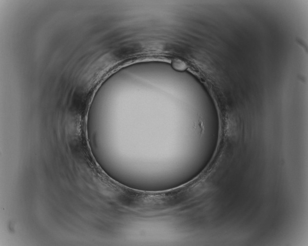 X0000103451161200809191741