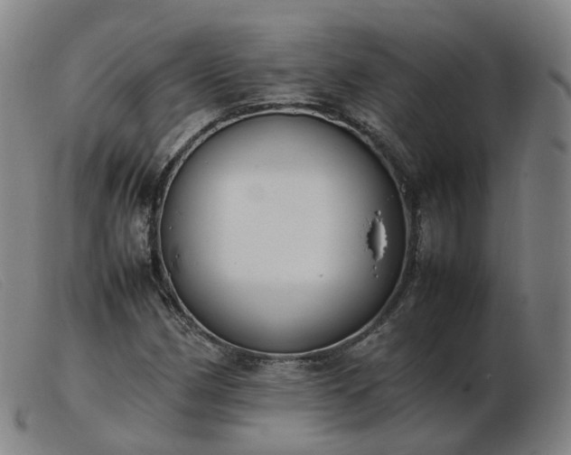 X0000103451162200809191741
