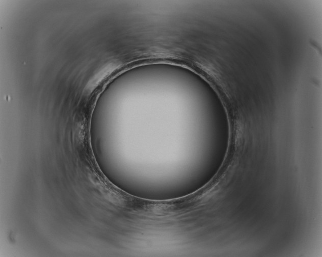 X0000103451163200809191741