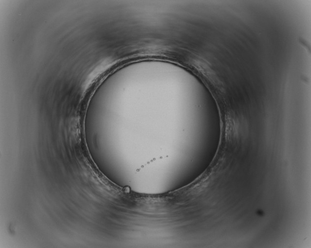 X0000103451164200809191741