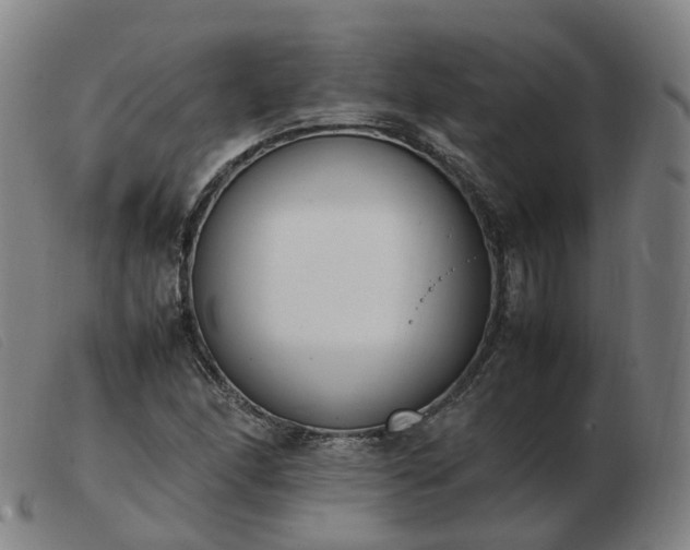 X0000103451166200809191741