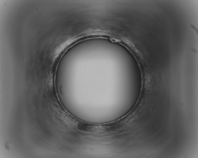 X0000103451167200809191741