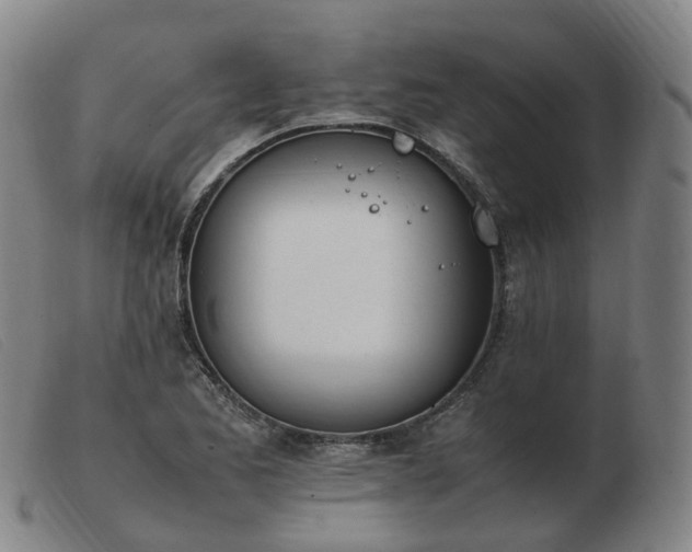X0000103451173200809191741
