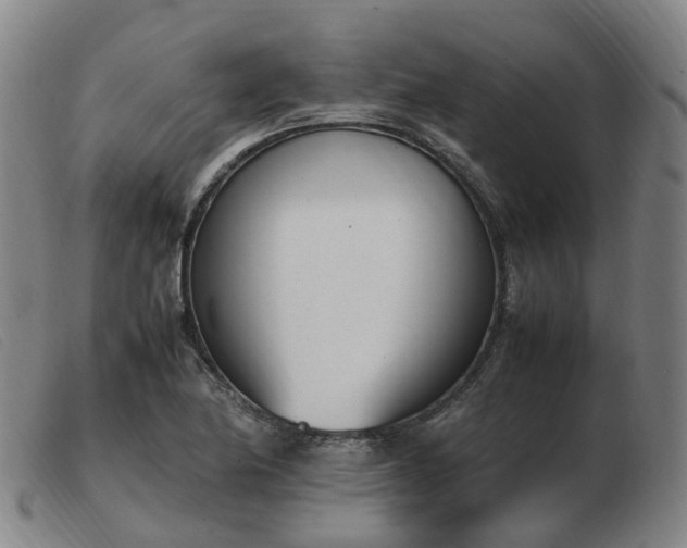 X0000103451174200809191740