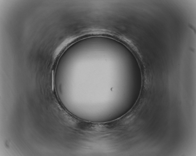 X0000103451175200809191740