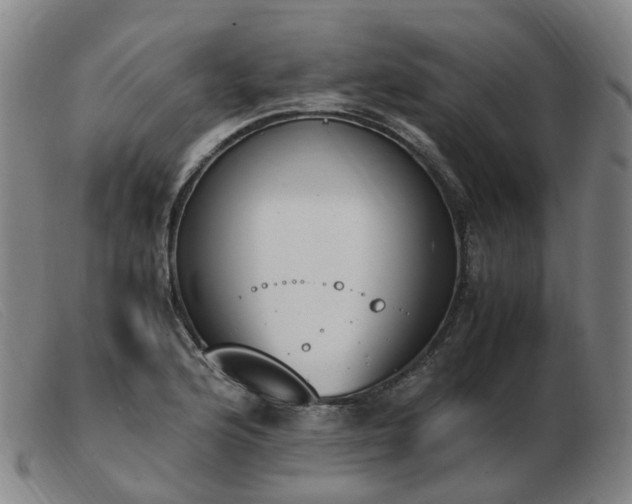 X0000103451176200809191740