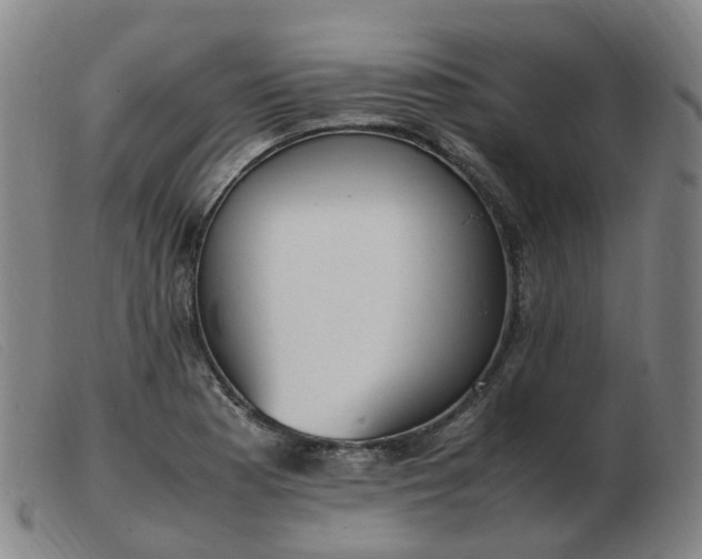 X0000103451177200809191740