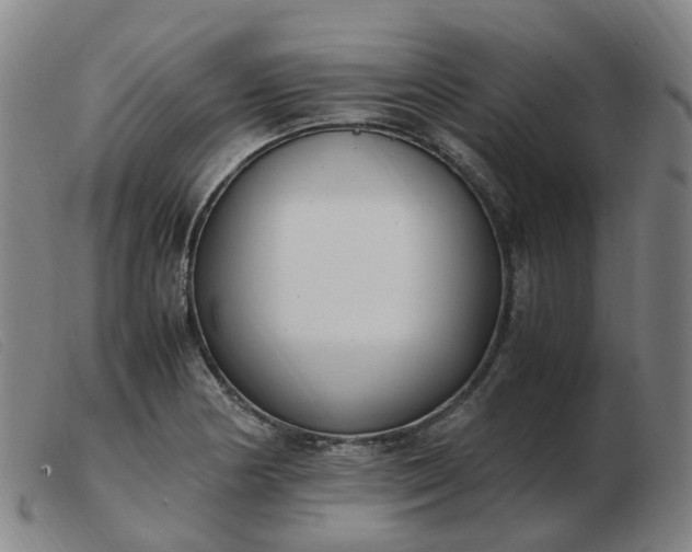 X0000103451178200809191740