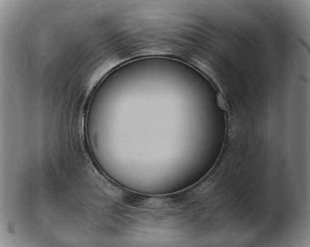 X0000103451179200809191740