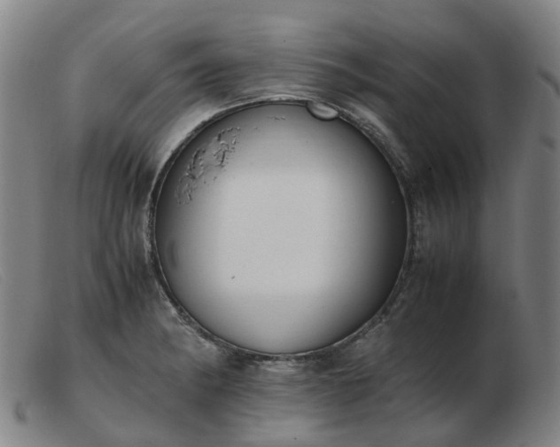 X0000103451182200809191740
