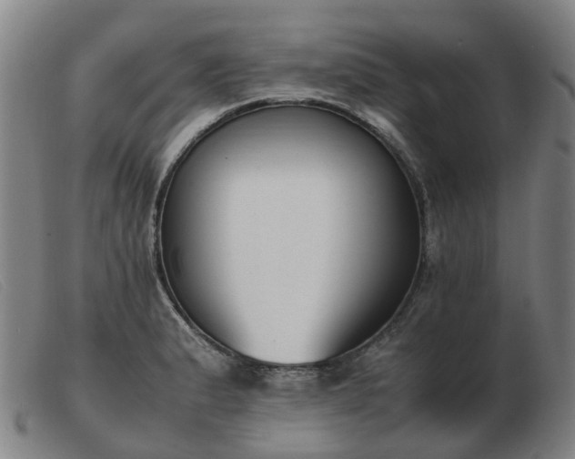 X0000103451183200809191740
