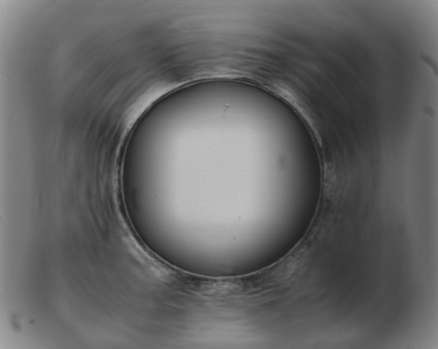 X0000103451187200809191740
